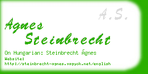 agnes steinbrecht business card