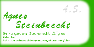 agnes steinbrecht business card